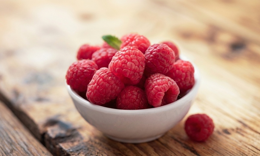 Image 8: Raspberry Full Season Collection 9 or 18 Bare Root Canes