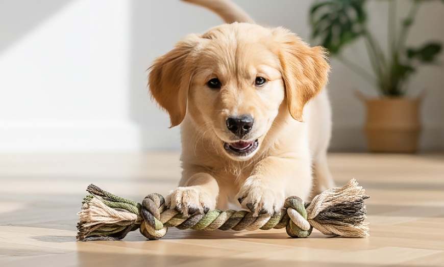 Image 4: Complete hondenverzorgingsset