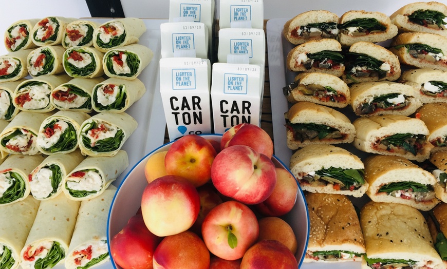 Image 6: 1.5-Hour Wildlife Adventure Cruise or 2-Hour Snorkel with Seals