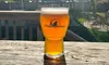 Delight in Wolfden Brewing Company's Craft Beers with Flights & Souvenir Glasses, All While Saving up to 41% Off