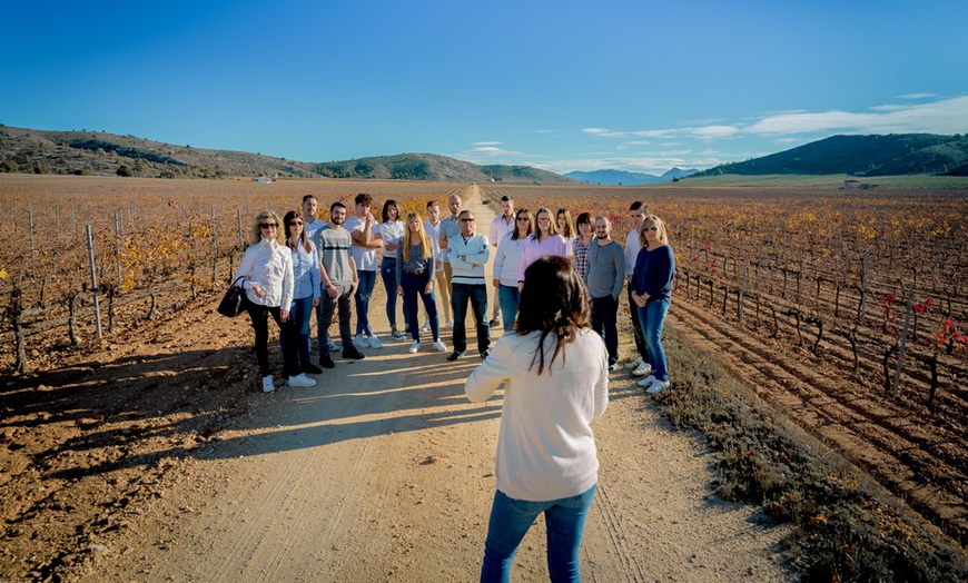 Image 11: Visita guiada a bodega con cata de 4 vinos, 2 AOVE y embutidos