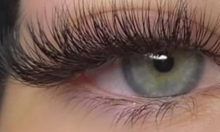 Full Set of Classic / Hybrid or Wet Set / Volume Eyelash Extensions