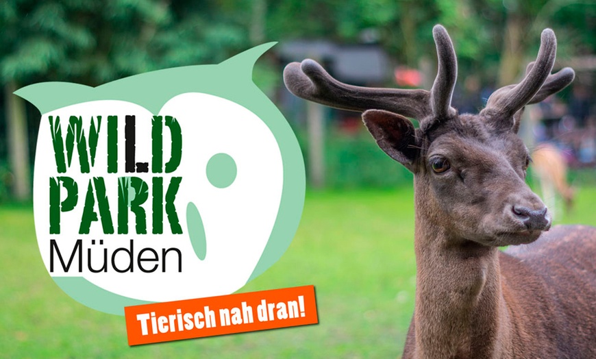 Image 1: Tagesticket Wildpark Müden