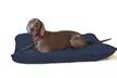 1 o 2 almohadas grandes para perros - Second Medium