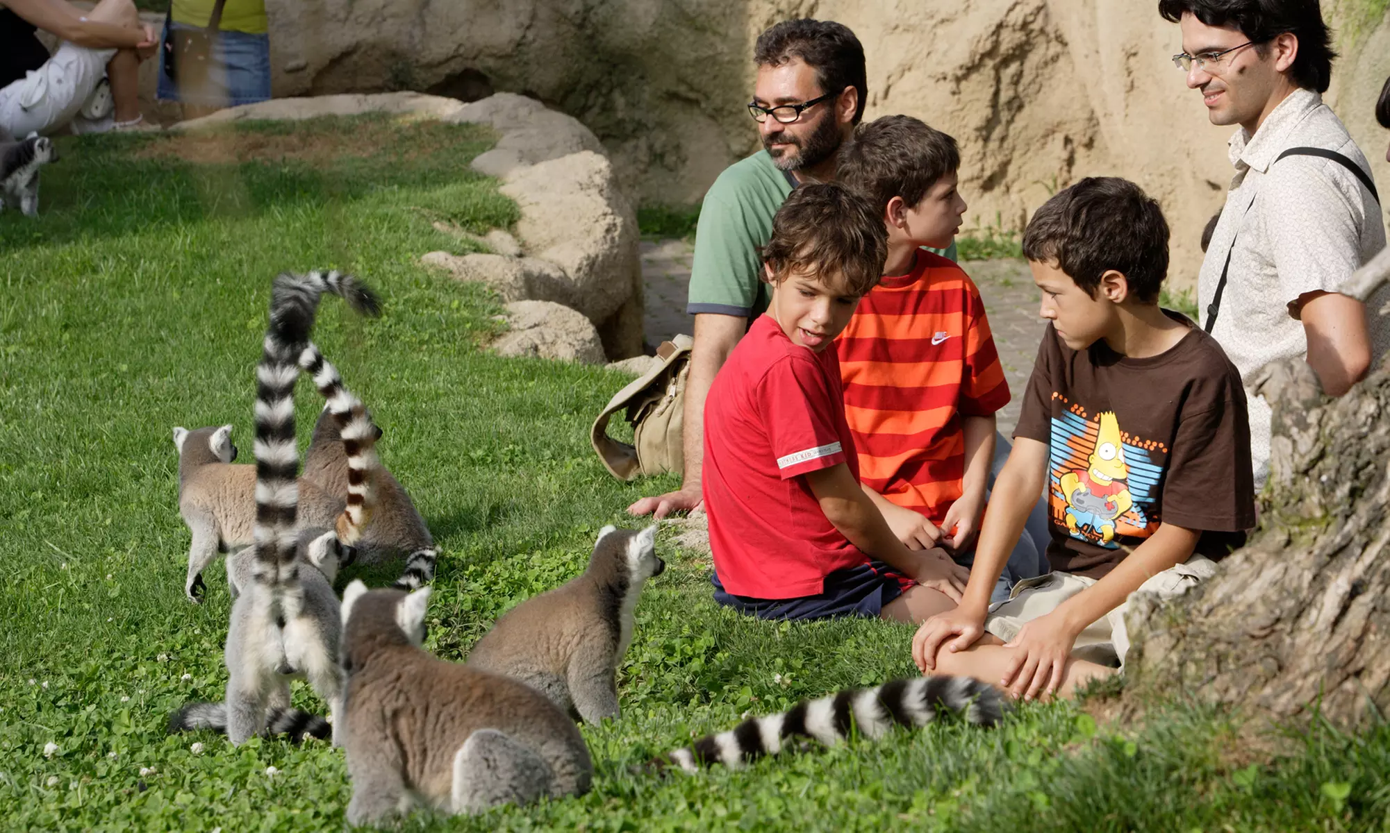 ¡Descubre la selva en Valencia! Entrada para adulto o niño en Bioparc