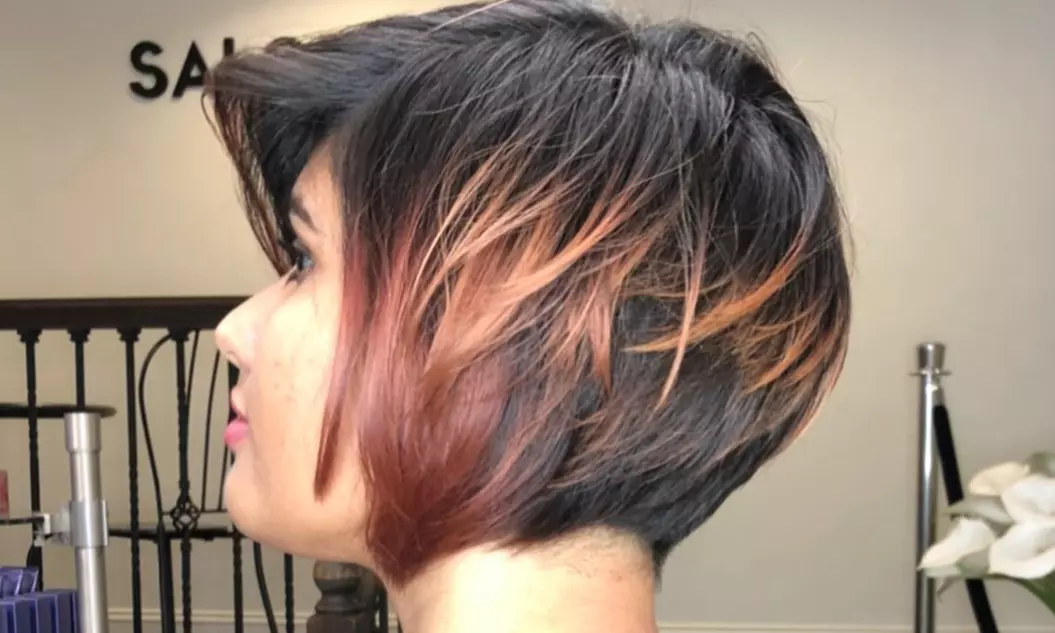 Haircut, Deep Conditioning, Blowout, Root Touchup or Keratin Treatment