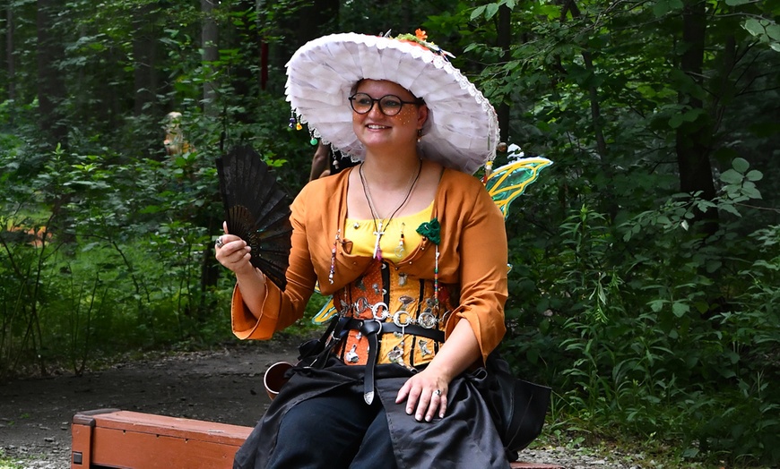Image 5: Admission to The Great Lakes Medieval Faire