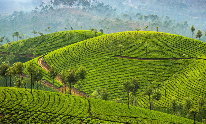 Image 6: Kerala: 2-Night Tour Package with 5* Hotel Stay