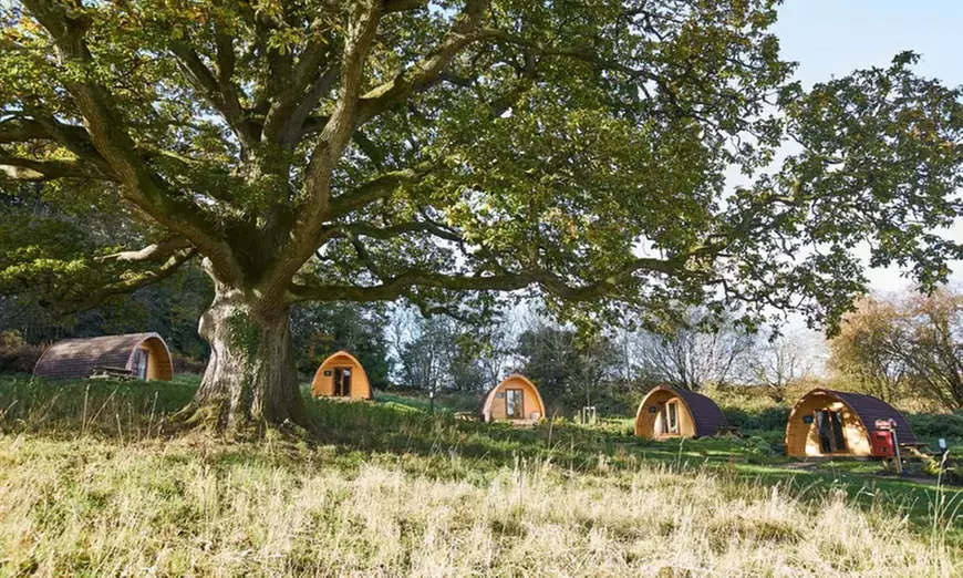Forest of Dean: Glamping Megapod for Four