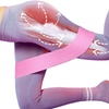 Image 3: 3Pcs Resistance Hip Booty Bands