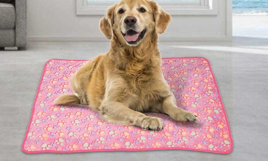 Image 13: Paw Print Light Blanket