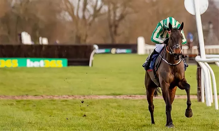 VIP Racehorse Ownership Experience; Exclusive Stable Visit, Racing Club Membership and chance to go racing as an owner - Primary Image