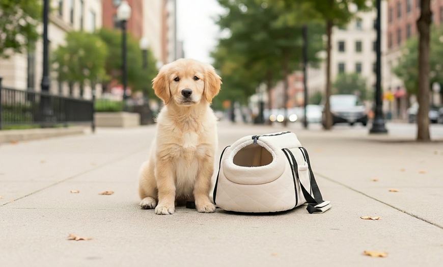 Image 3: Bolsa de transporte acolchada para perros con asas reforzadas