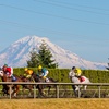 Image 3: Saddle Up for Thrills: Admission for One for Emerald Downs Racing 2025