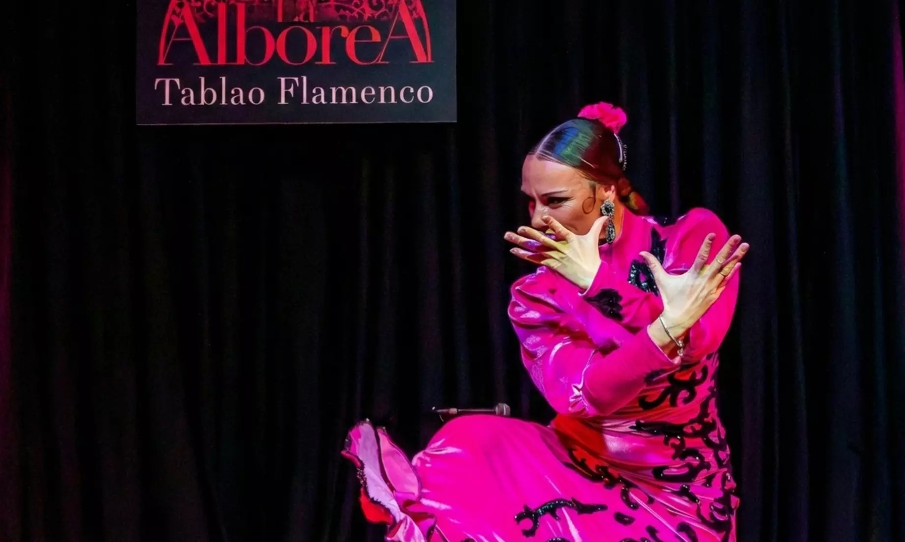 Espectáculo de flamenco en directo con cante, baile y guitarra