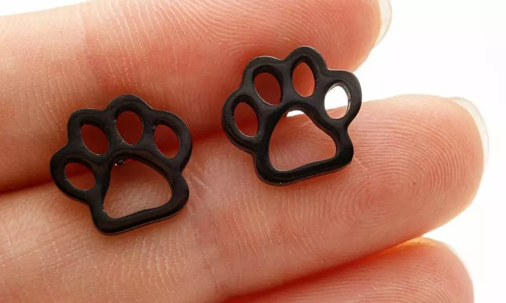 Stainless Steel Paw Print Fashion Stud Earrings - Multiple Options