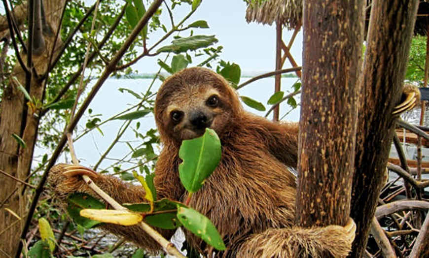 Image 12: ✈ 3- or 7-Night Costa Rica Mystery Vacation w/Air, Car