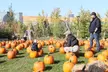 Halloween BooFest: 4 Admissions, Exciting Ride Bands and Unlimited Halloween Fun at Wizard World Toronto - Second Medium