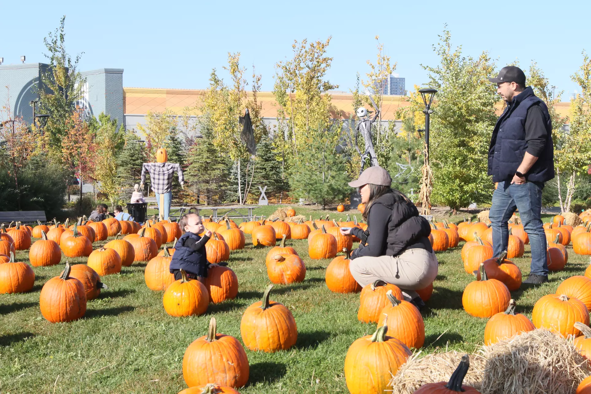 Halloween BooFest: 4 Admissions, Unlimited Rides & Spooky Fun Awaits!