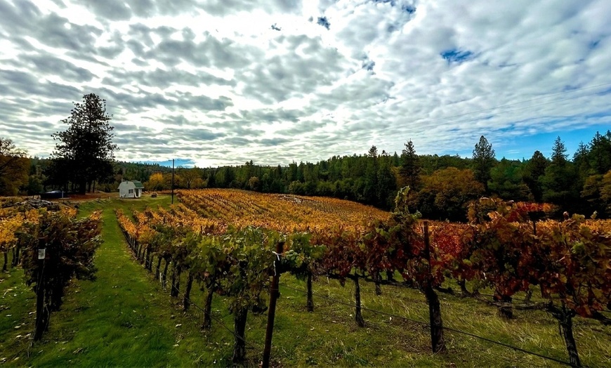 Image 11: Wine Tasting Experience w/ Personal Charcuteries for Up to 4 and More