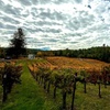 Image 11: Wine Tasting Experience w/ Personal Charcuteries for Up to 4 and More