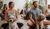 Relax with One or Four Puppy or Couple Yoga Classes at American Wellness & Rehab Clinic (Up to 41% Off)