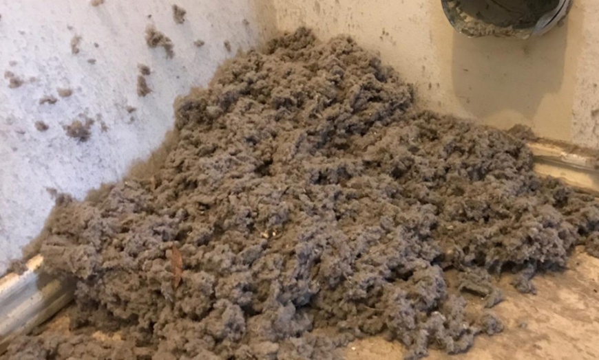 Image 7: Dryer Vent Cleaning Package, Air-Duct Cleaning for Whole House