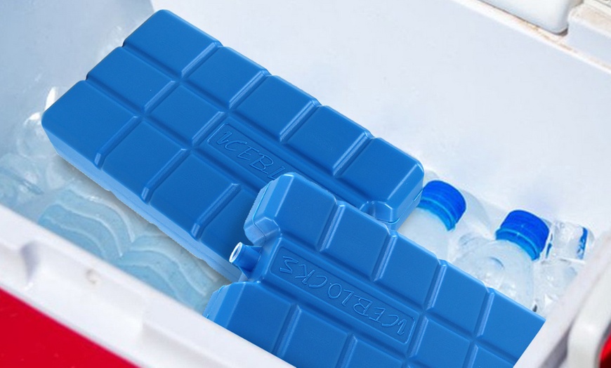 Image 5: Insulated Cooler Ice Box and Optional Ice Blocks 15L, 24L, 35L
