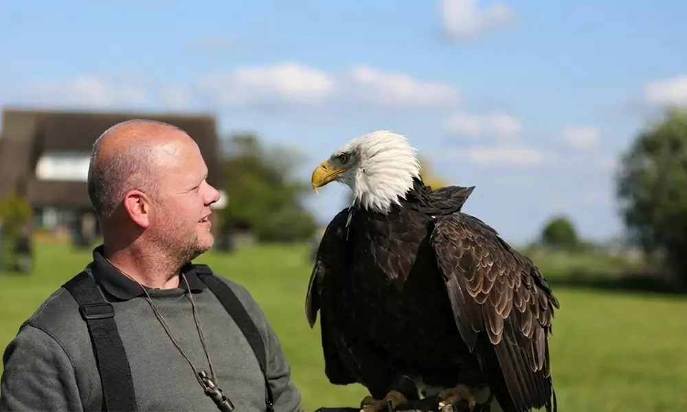 Interactieve roofvogelworkshop bij Settels Roofvogels