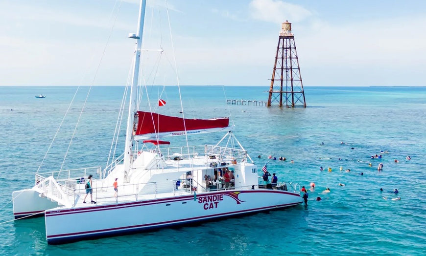 Image 4: Discover Underwater Wonders: Snorkeling Adventure or Dolphin Watch!