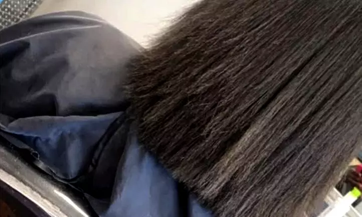 Single Session: Trim, Shampoo, Blowout with Optional All Over Color