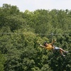 Image 3: Zip through lush forests on a two-hour zipline adventure