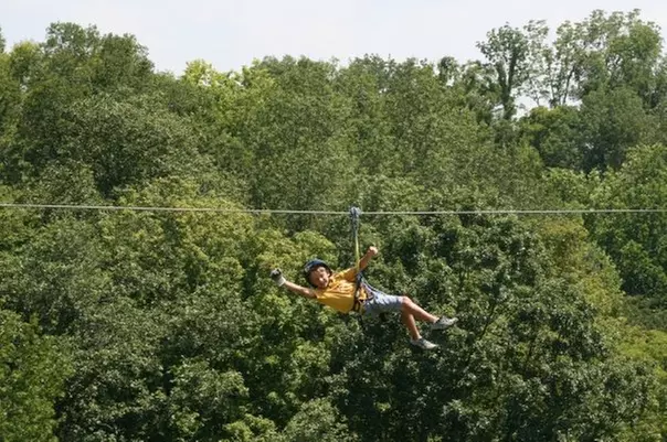 Zip through lush forests on a two-hour zipline adventure