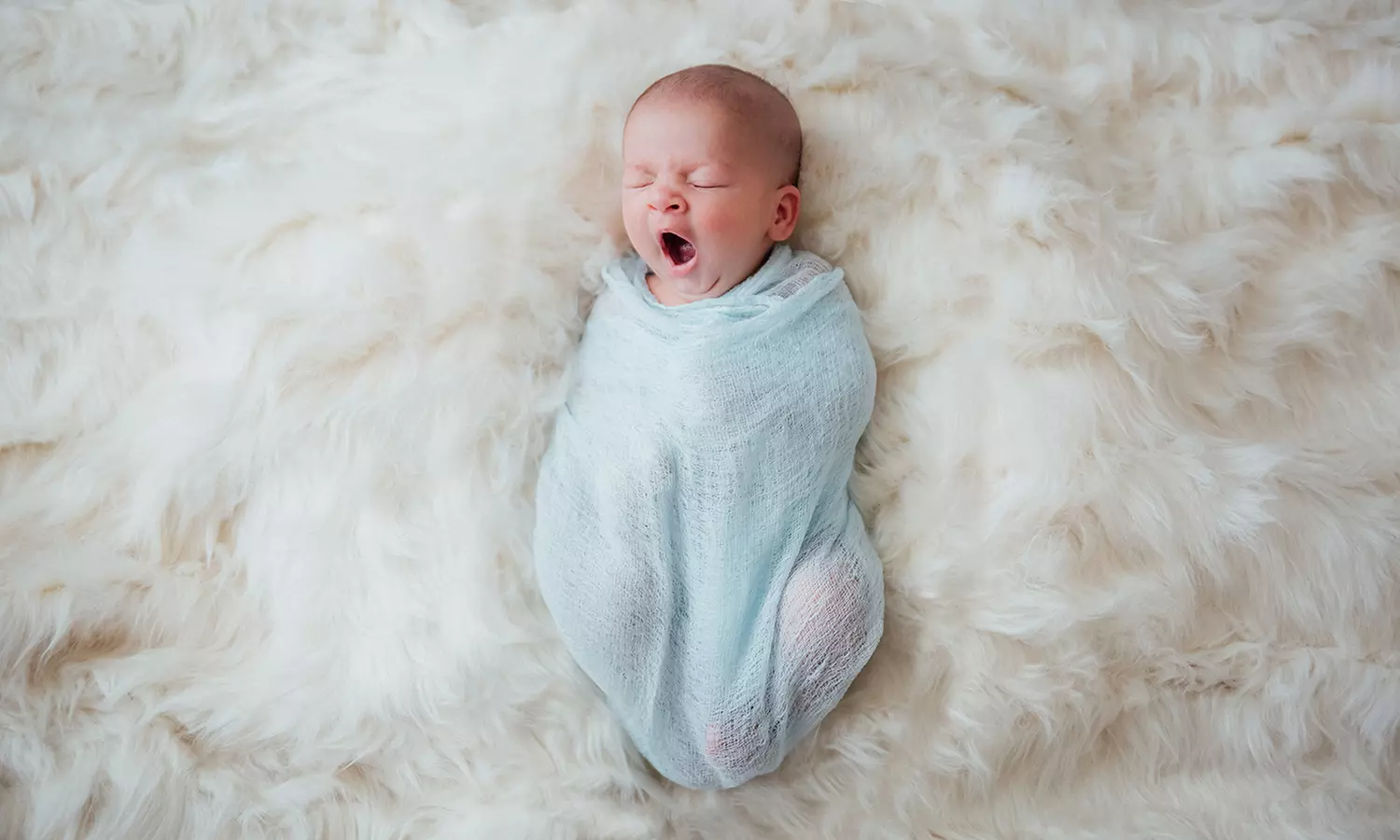 $45 for $150 Worth of Services — Amanda Mejias Photography - Primary Image