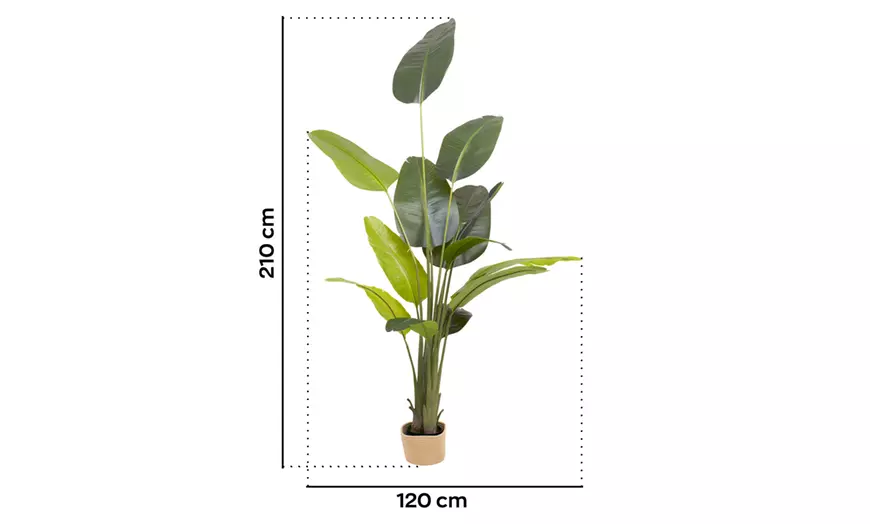 Image 22: Plantas artificiales decorativas en diferentes diseños