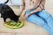 Interactive Cat Puzzle Feeder - Treat Dispensing Slow Feeder Toy - Image 3