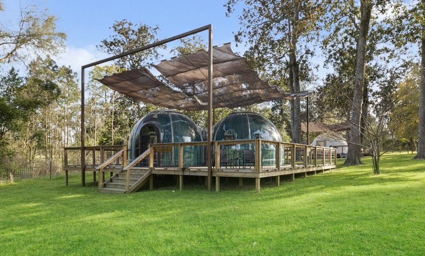 Image 11: Luxury Glamping Domes w/ Pool & Hot Tub, Just Outside Houston