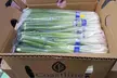 Ten Dollars Off Online Grocery Delivery For Convenient Shopping at Proton Technology LLC - 90% Off - Second Medium