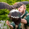 Image 1: Ultimate Birds of Prey Experience at Willows Wildlife Trail, Kent
