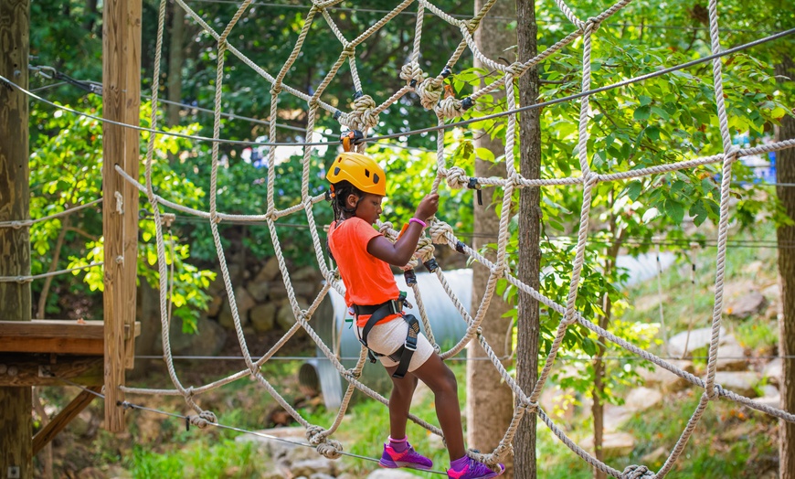 Image 35: Virginia Mountain Resort with Waterpark and Ski