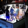 Image 4: Deep-Sea Sportfishing Adventure with Lady Rachel Charters