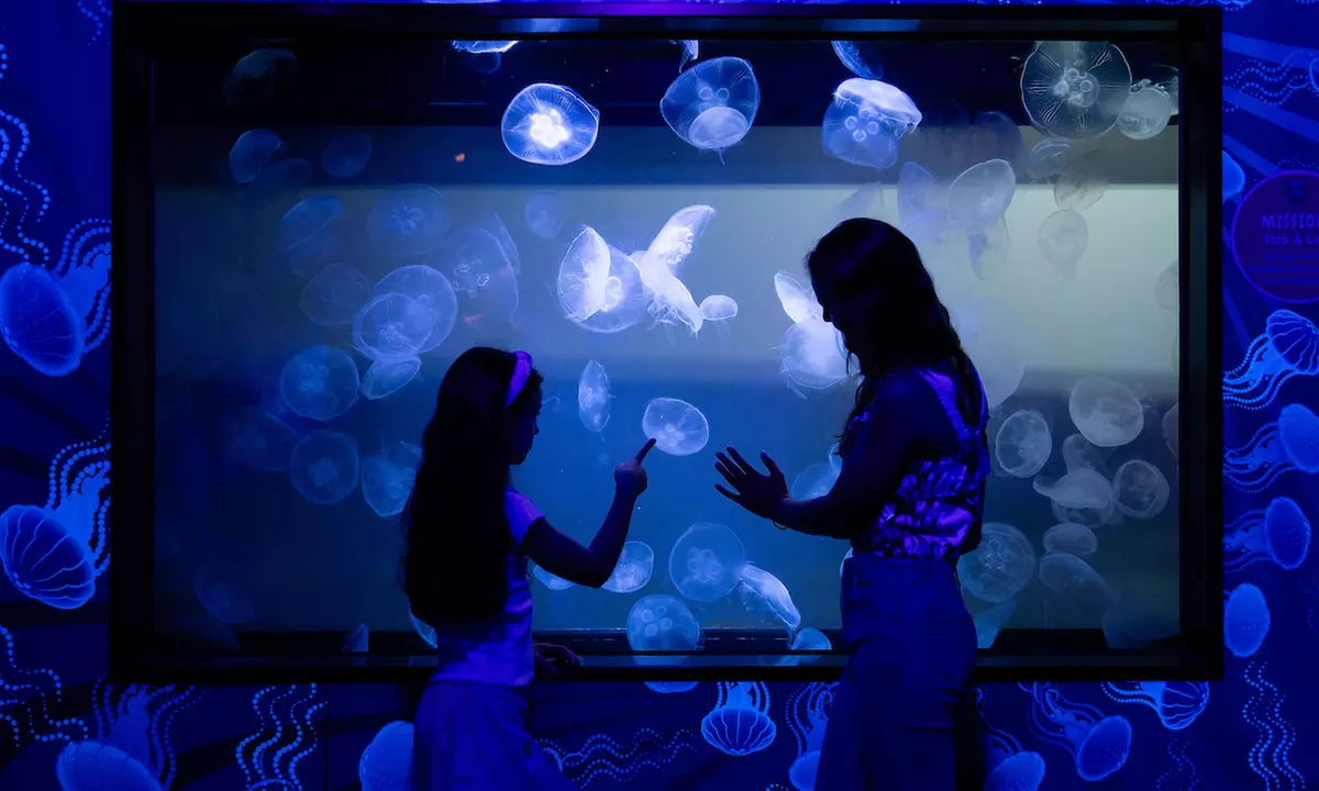 Melbourne Big Ticket: Multi- Attraction Pass for Adults & Kids