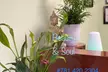 Relax with Beauty and Soul Spa's 60-Minute Massage Sessions, offering up to 12% off - Second Medium