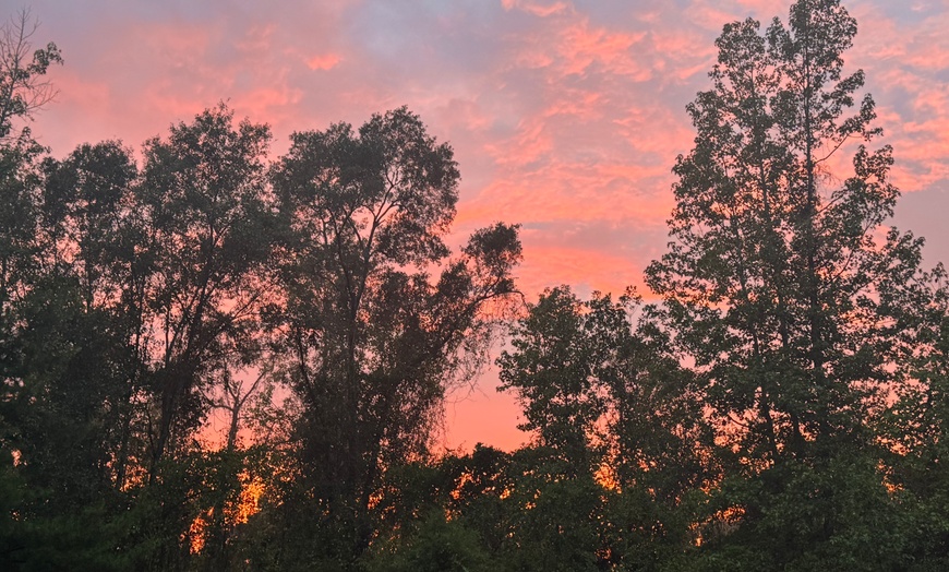 Image 21: Exclusive Wildlife Adventure: VIP Sunset Tour & Exotic Animal Feeding 