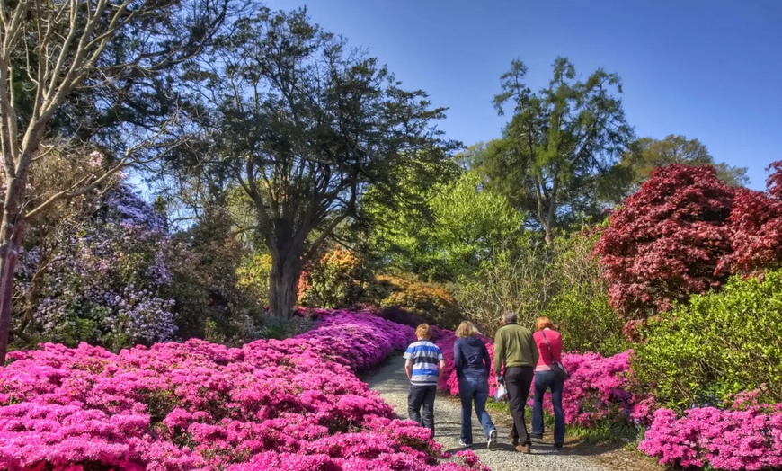 Image 8: ✈ 8-Day Ireland Vacation with Air from Great Value Vacations