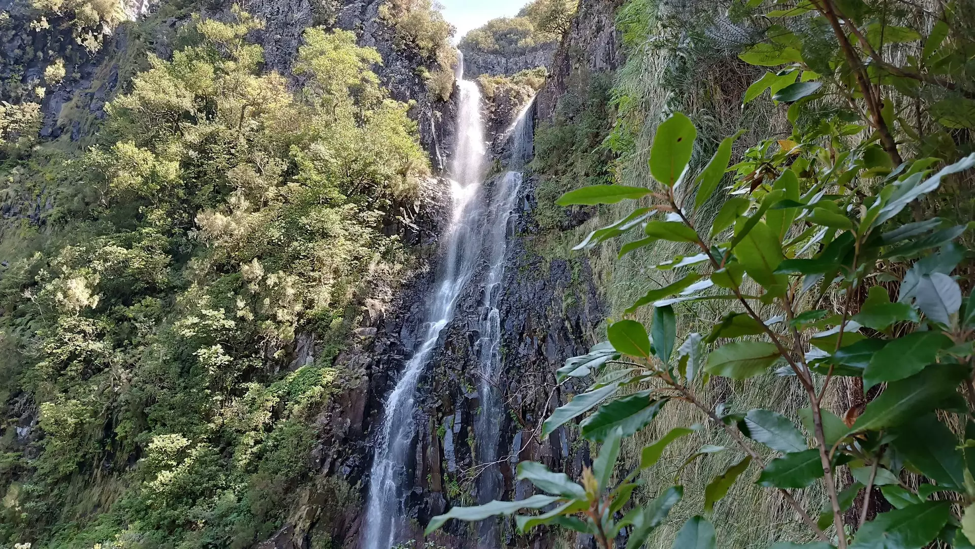 ✈ 6-Day Madeira: Explore Portugal's Garden Island with Flights and Car