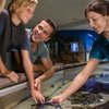 Image 2: Save 20% on SEA LIFE Sunshine Coast   Weekends Included! Adult & Child