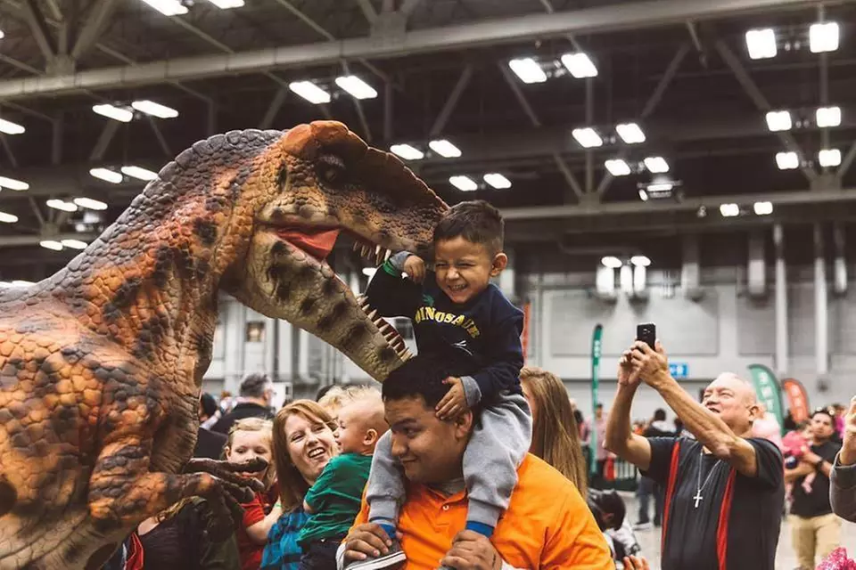 Single-Day Admission to Kidapalooza on October 12 or 13 (Up to 41% Off). Two Options Available. - Primary Image