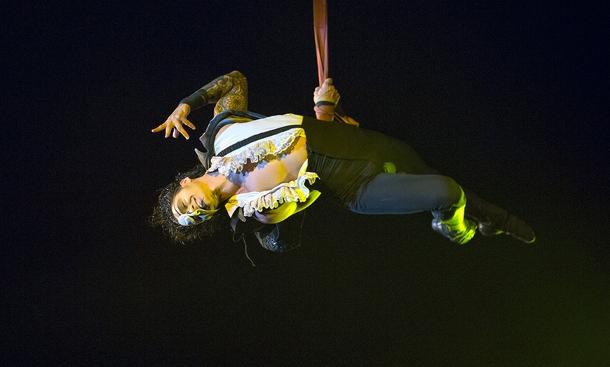 Image 15: Entrada lateral niño o adulto para "El Circo Encantado" en Granada