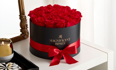 Magnificent Roses Classic Red 1 Dozen from 1-800-Flowers - 1-800-Flowers.com **NAT**